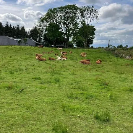 Whitethorn Cottage, Palmfield بيت للعطل *