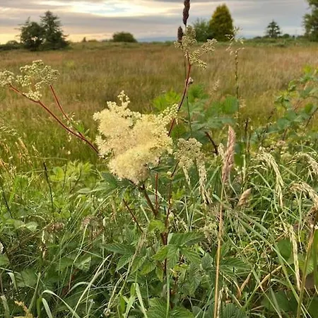 Whitethorn Cottage, Palmfield Ballaghaderreen