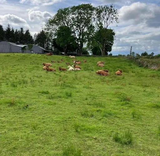 Whitethorn Cottage, Palmfield Holiday home *